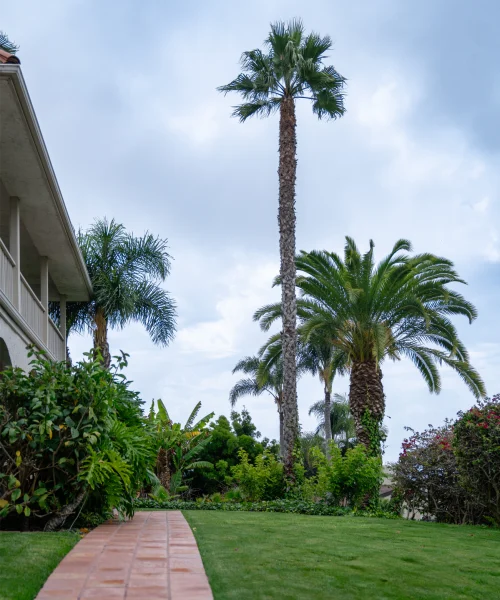 San Clemente Detox Image 1 San Clemente Detox Image 1
